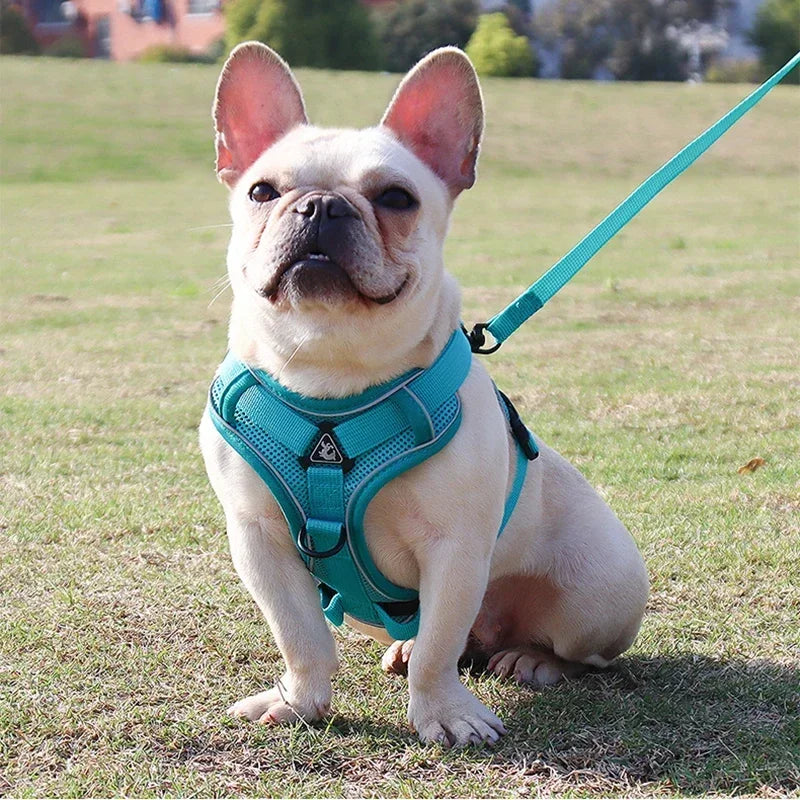 No-Pull Reflective Dog Harness & Leash Set